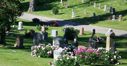 Martin McLane Funeral Home